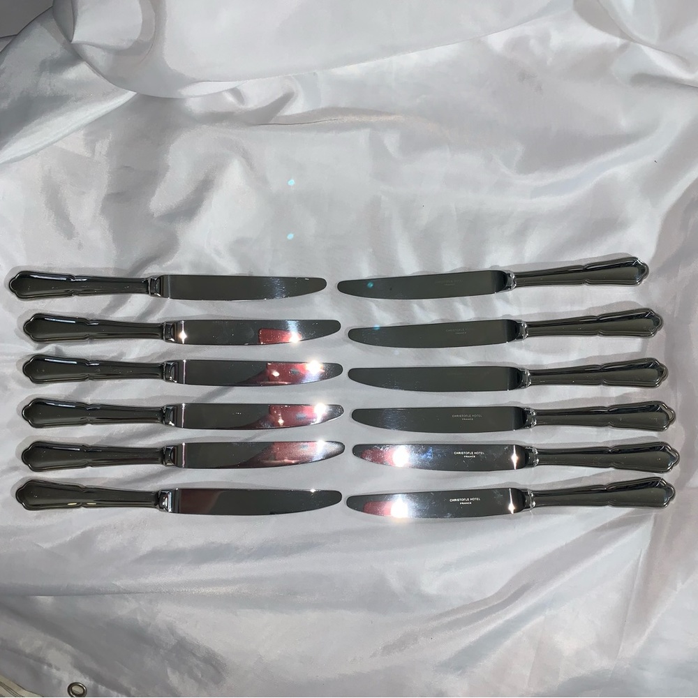 NWOB Christofle Hotel by CHRISTOFLE 12 pieces 10" dinner knives